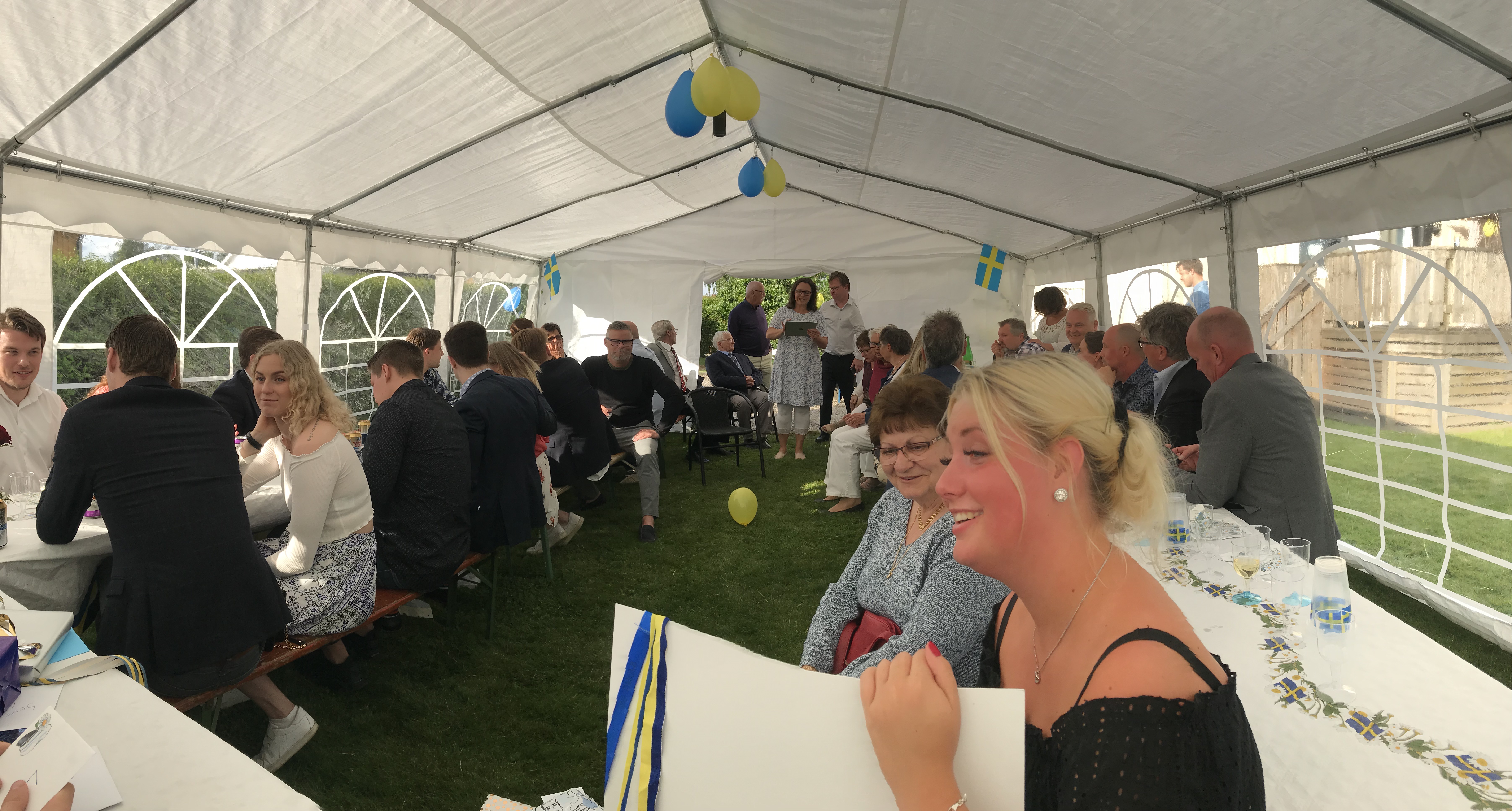 Partytält 8x5m - 3