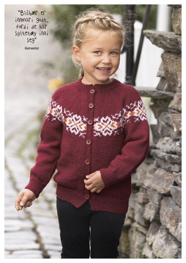 Mönsterkatalog Nr 1817, Viking Garn - 5