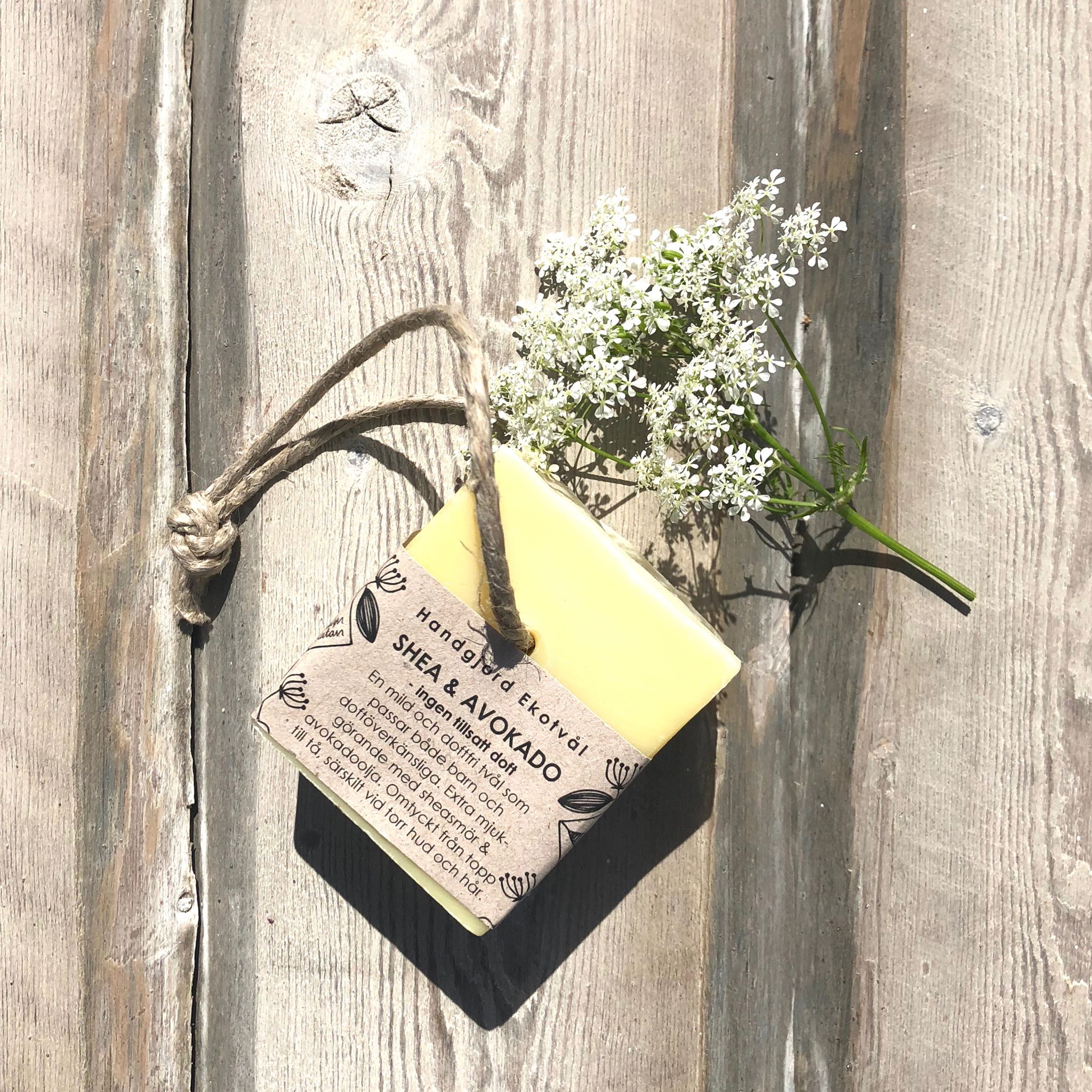 Shea & Avocado (utan tillsatt doft) - 5