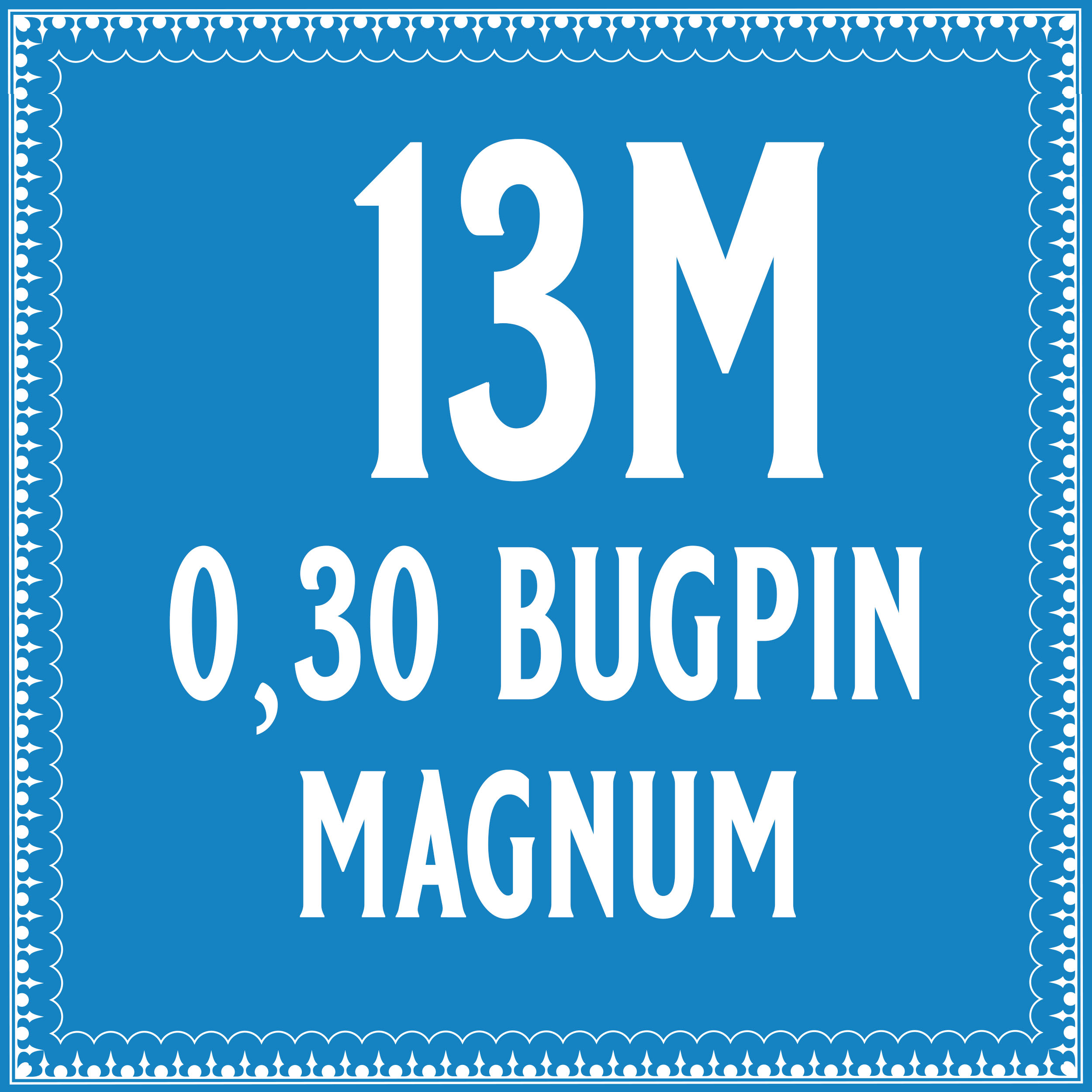 30/13 Bugpin Magnum Cartridge 