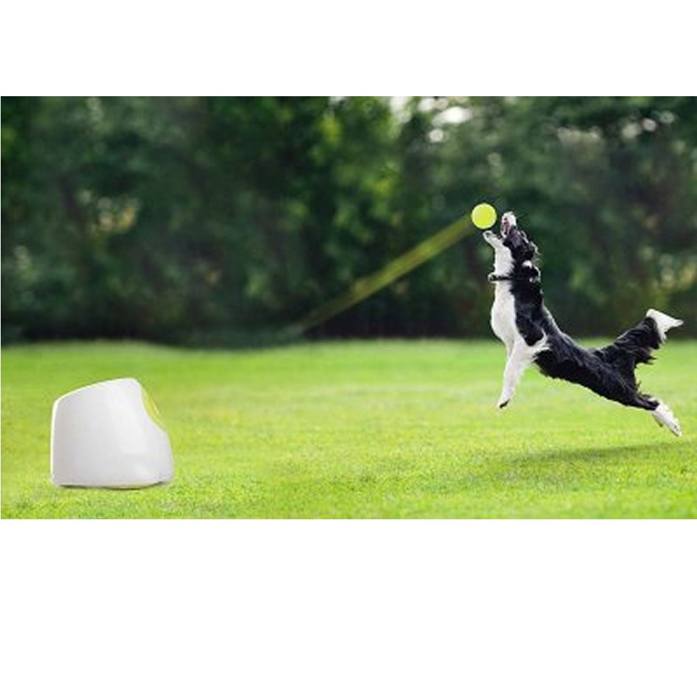 Hyper Fetch Maxi Bollkastare - 4