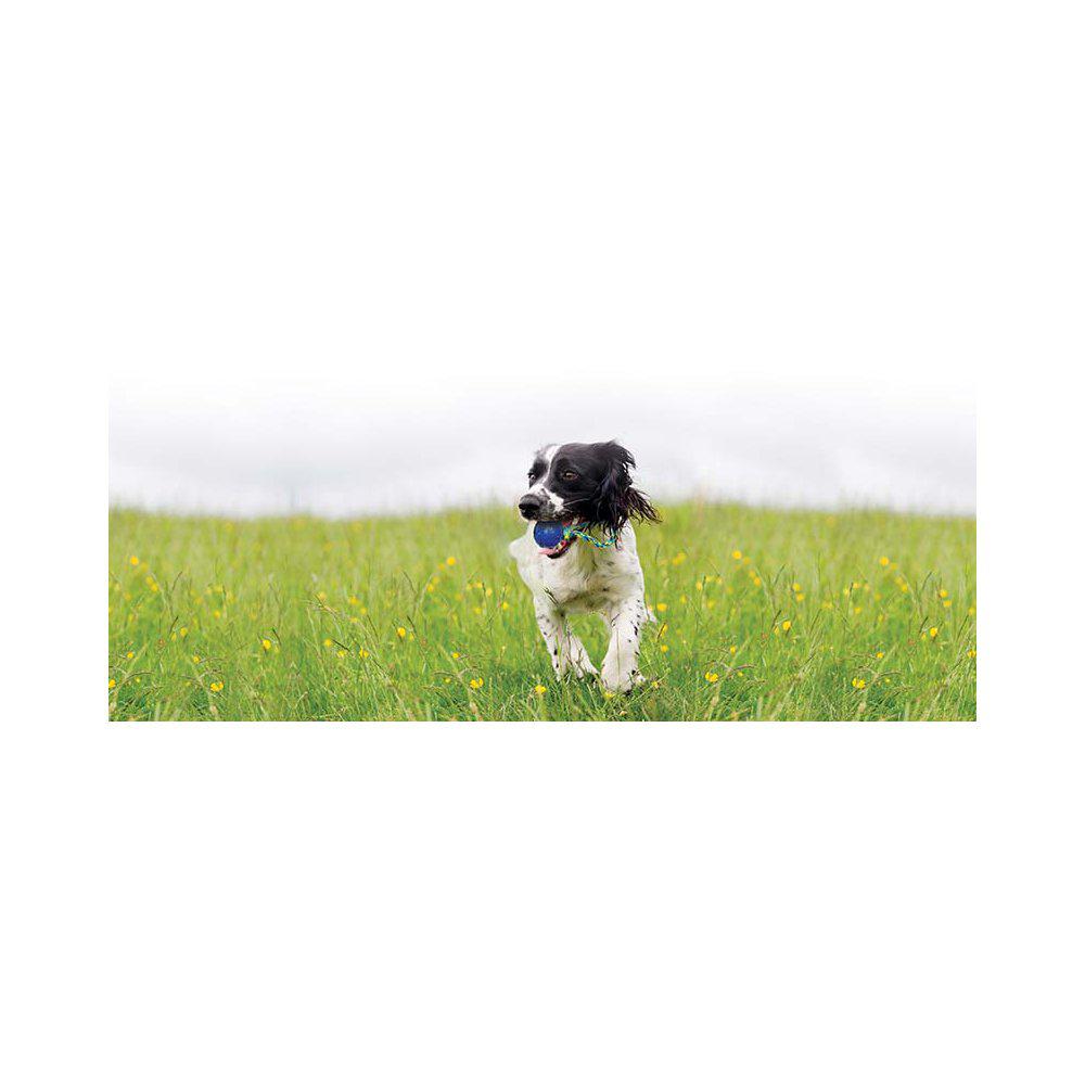 Zs K9 Ball Tug 23 cm - 5