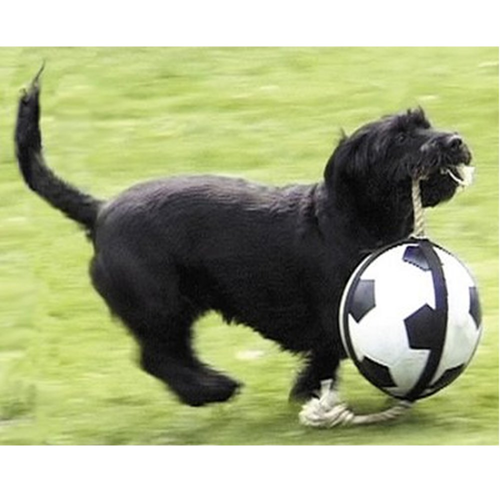 Actionboll Fotboll 19 cm - 2