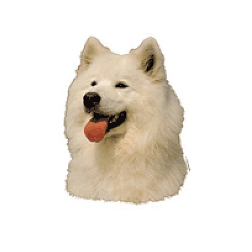 Dekal Samojed