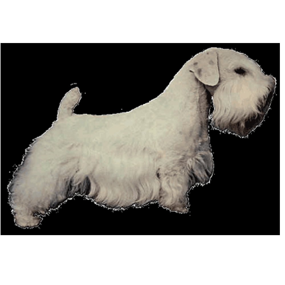 Dekal Sealyhamterrier
