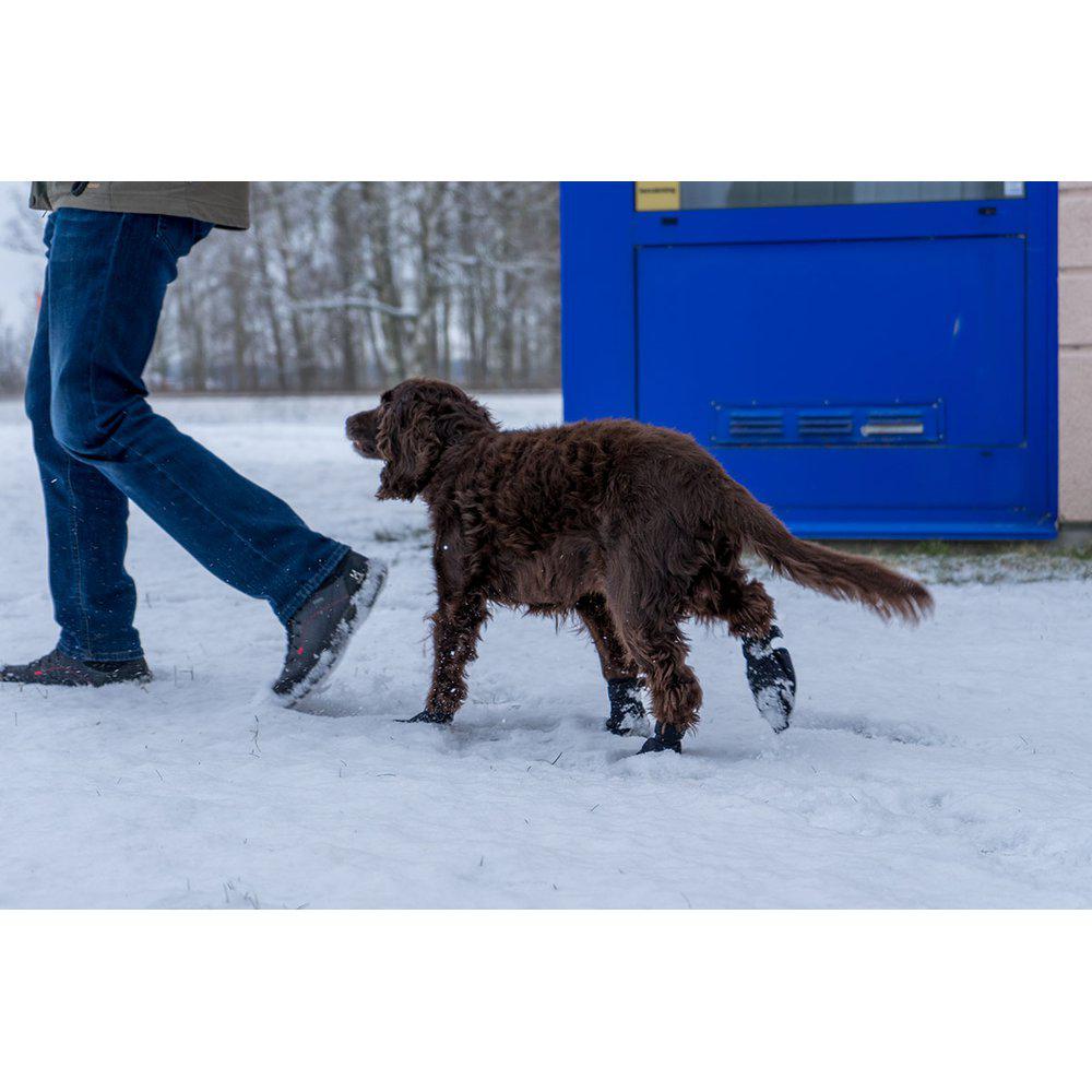 Långdistanssocka för hund 4 st svart - 4