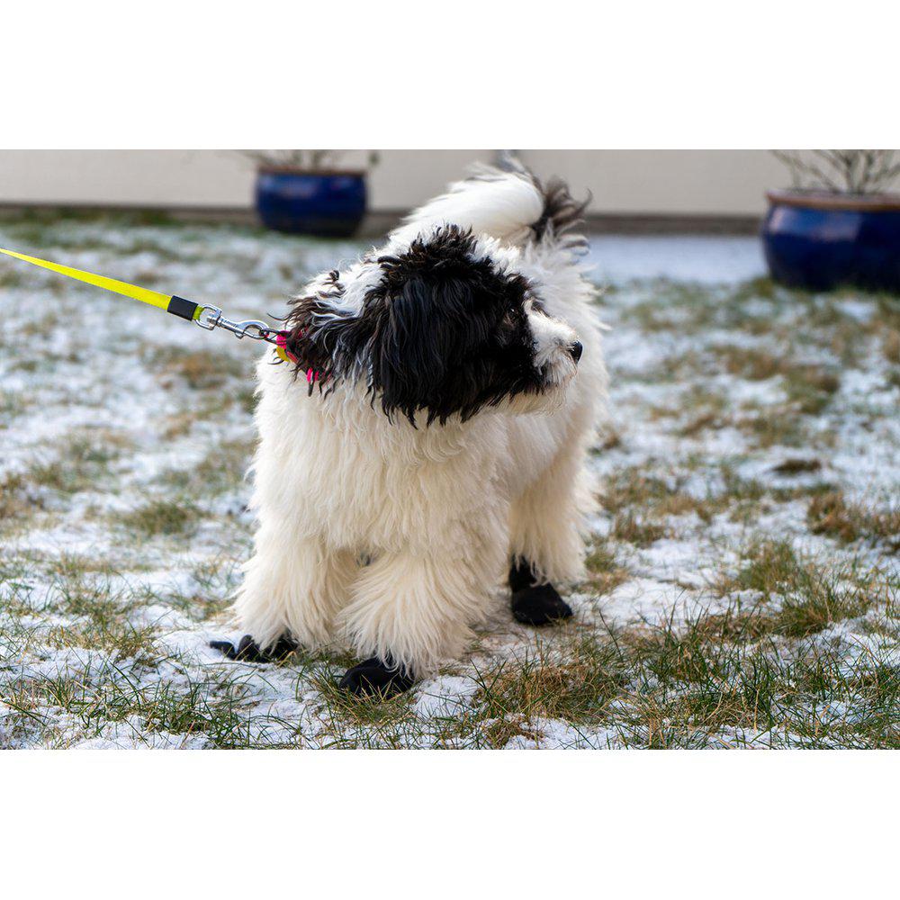 Långdistanssocka för hund 4 st svart - 3