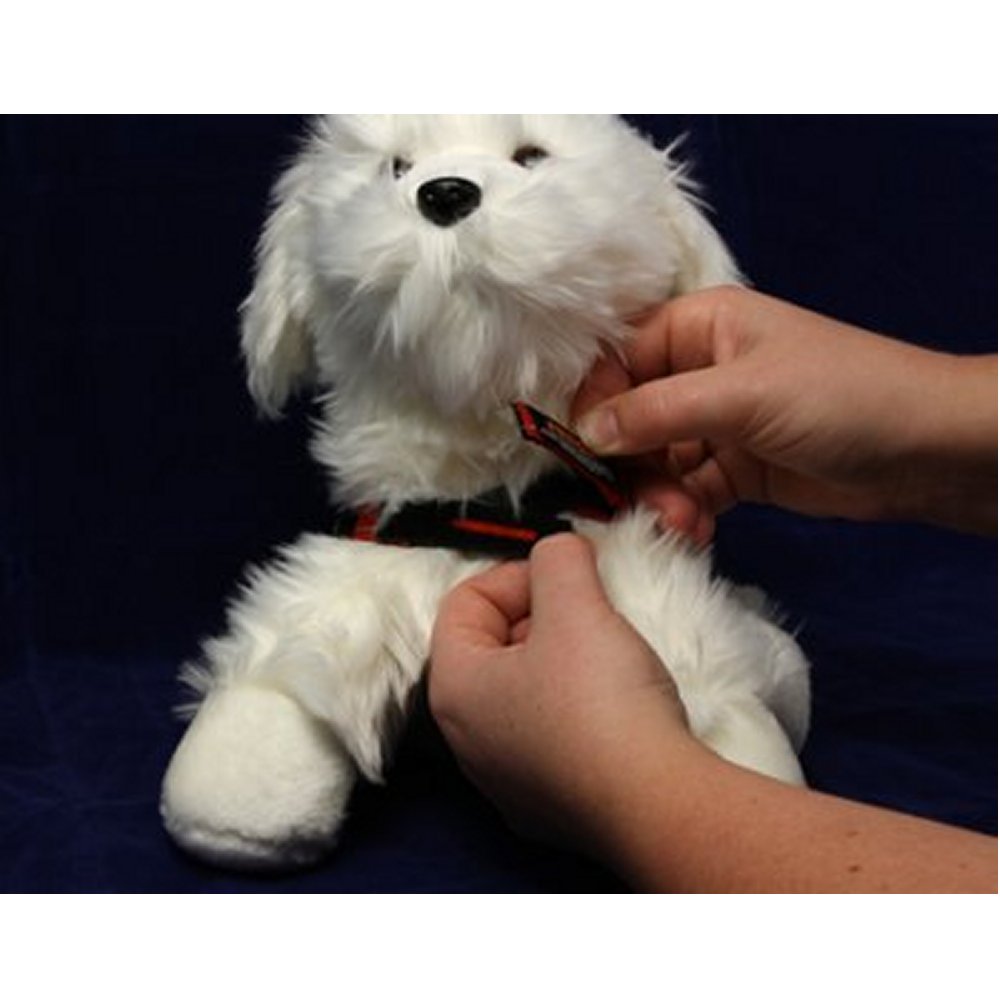 Ezydog Quickfit Svart Medium - 3