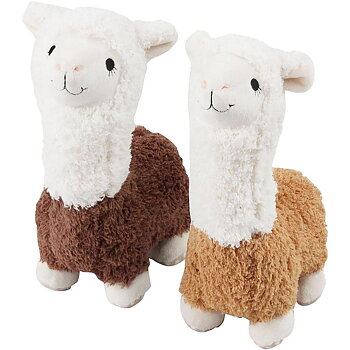Lama