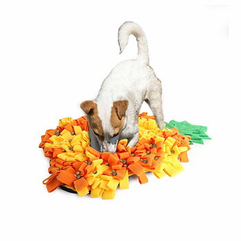 Snuffle Mat Pineapple 63x42x4 cm