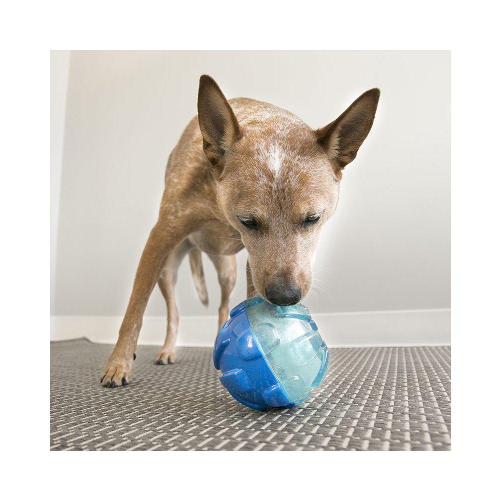 Kong Reward Ball Large 12ø cm - 2