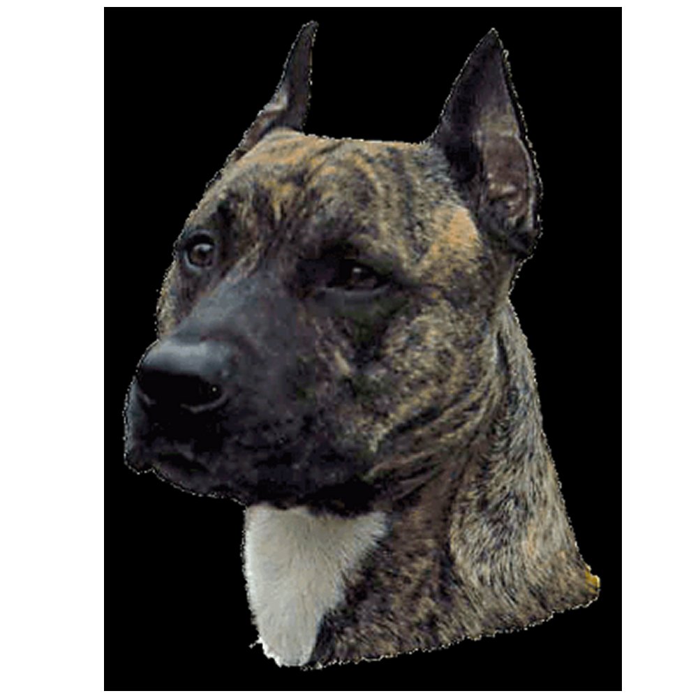 Dekal Amerikansk Staffordshire terrier