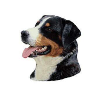 Dekal Appenzeller Sennenhund