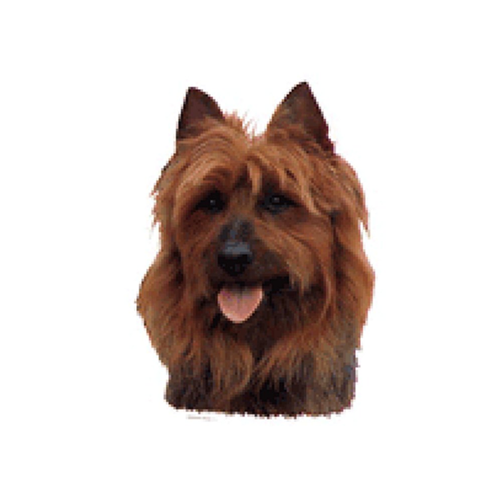 Dekal Australisk Terrier