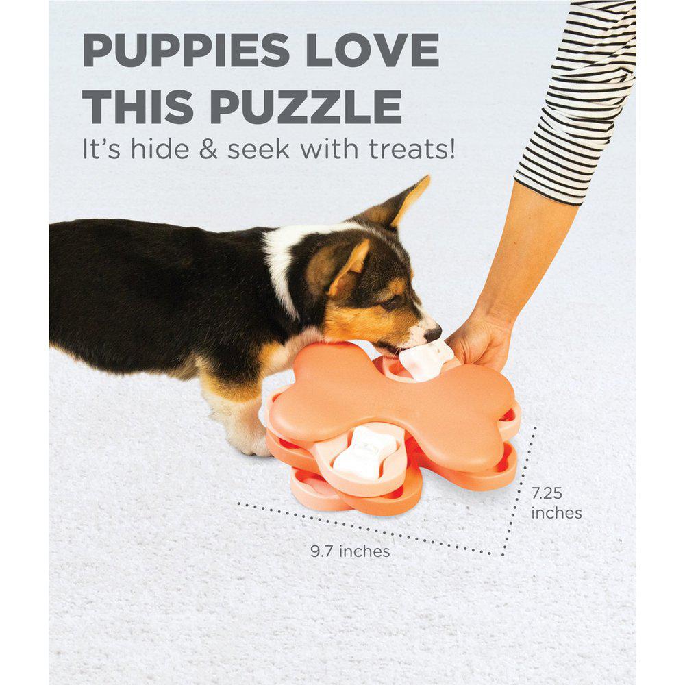 Puppy Tornado - 5