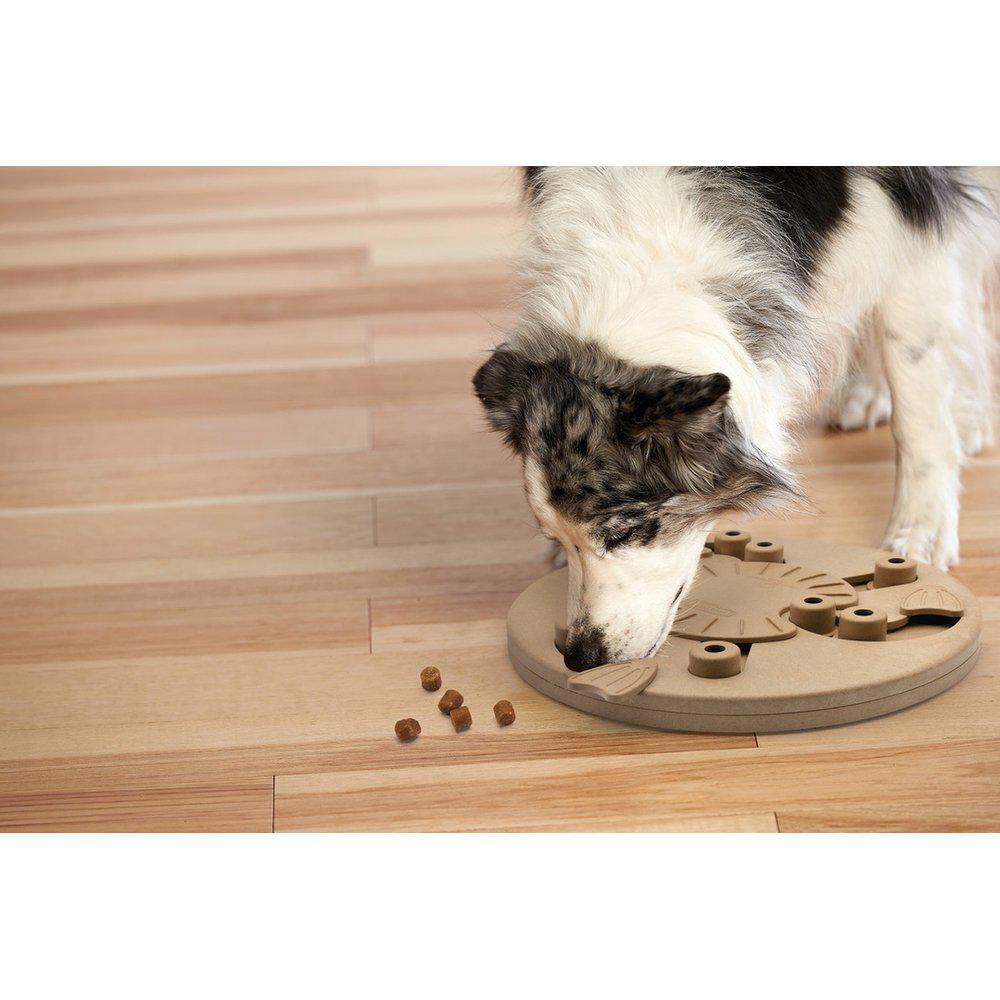 Dog Worker Komposit Naturell - 3
