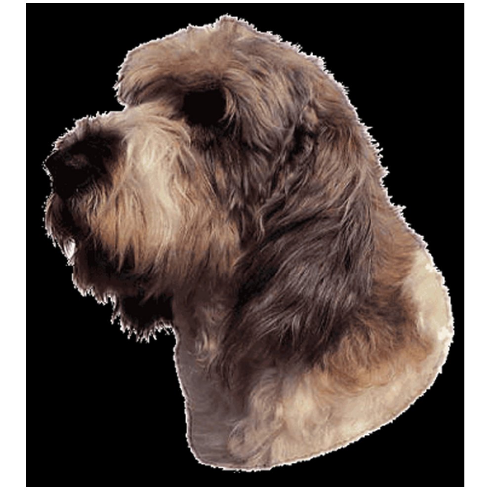 Dekal Basset Griffon Vend