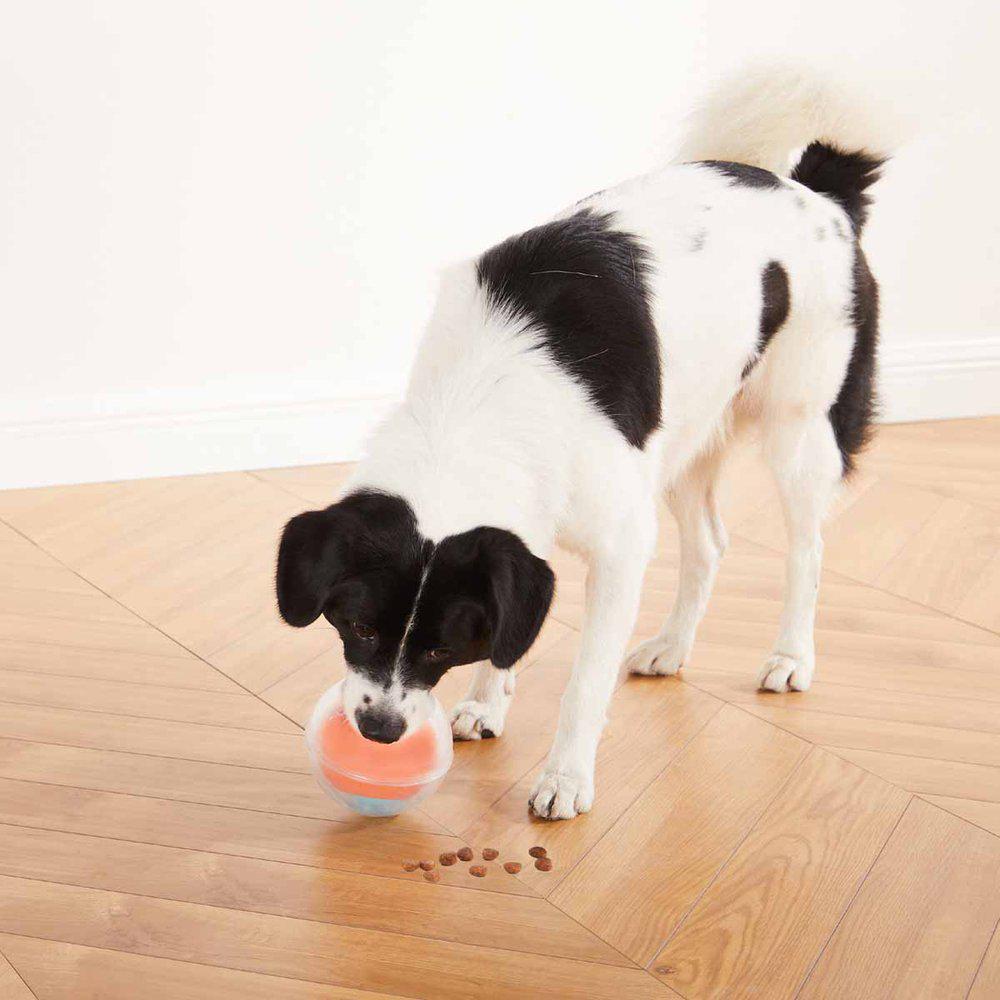 Oh Dog Rumble Puzzle - 6
