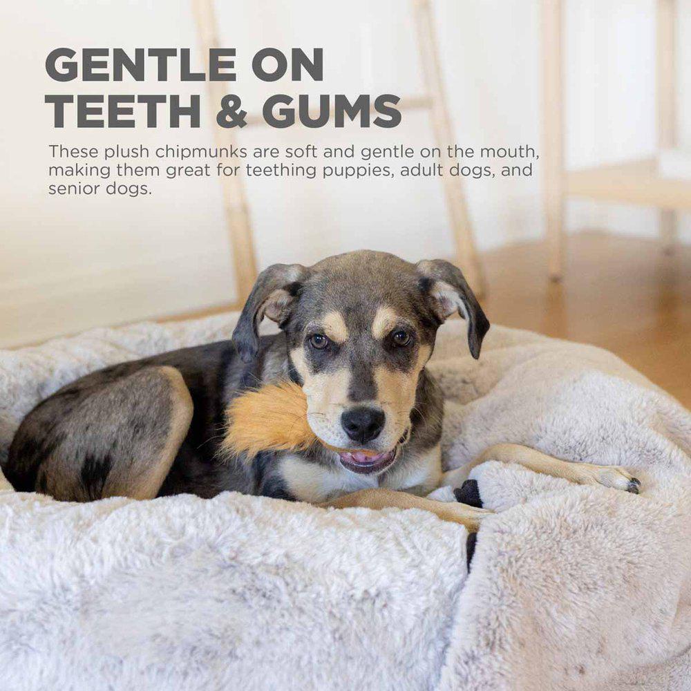 Oh Snuffle Treat Replacement Chipmunk - 4