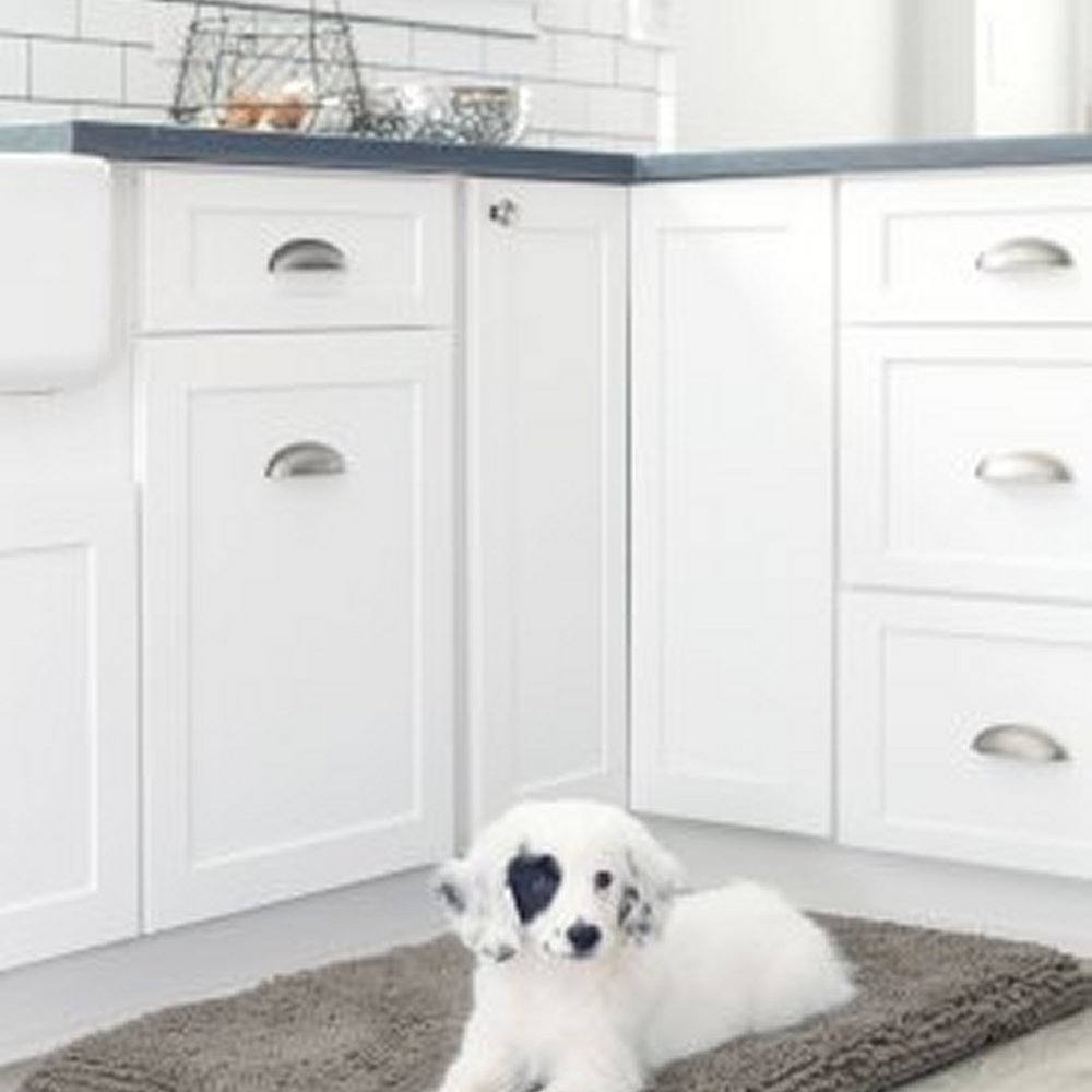 DGS Dirty Dog Madrass - 3