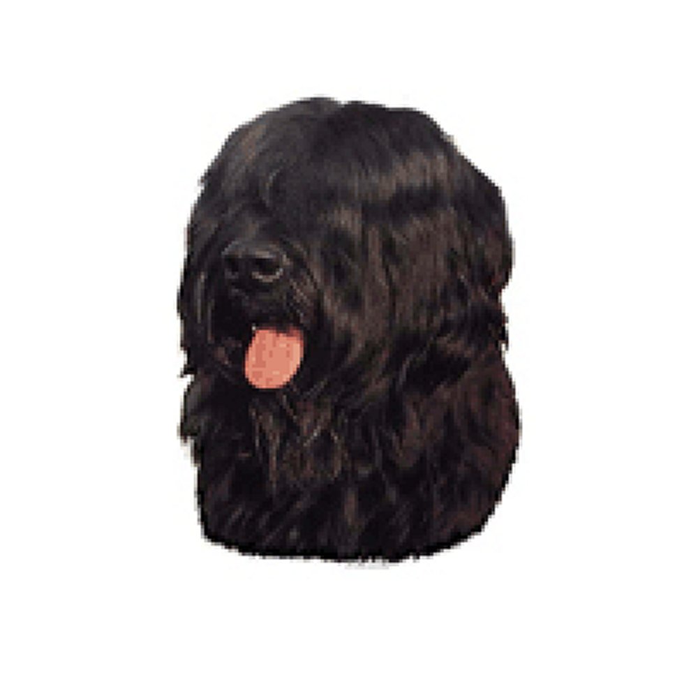 Dekal Briard - 3