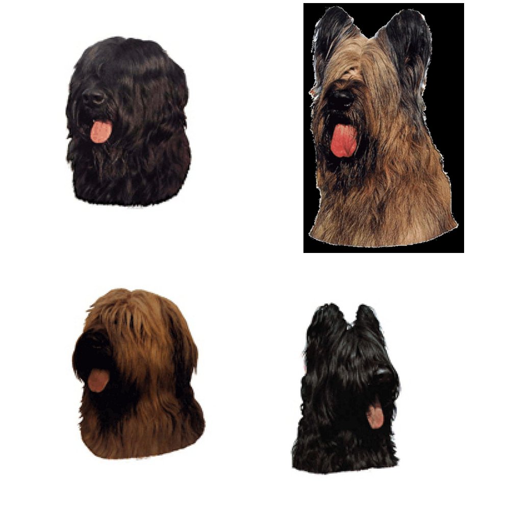 Dekal Briard