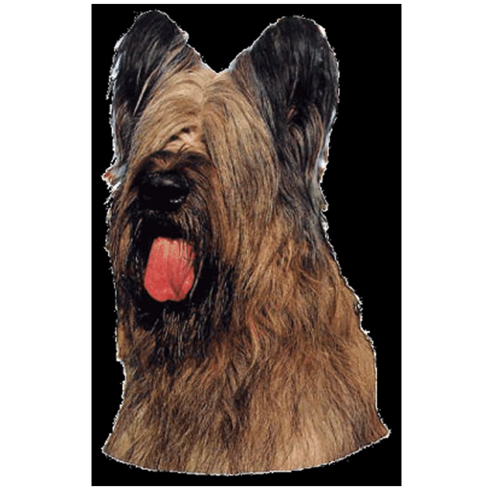 Dekal Briard - 2