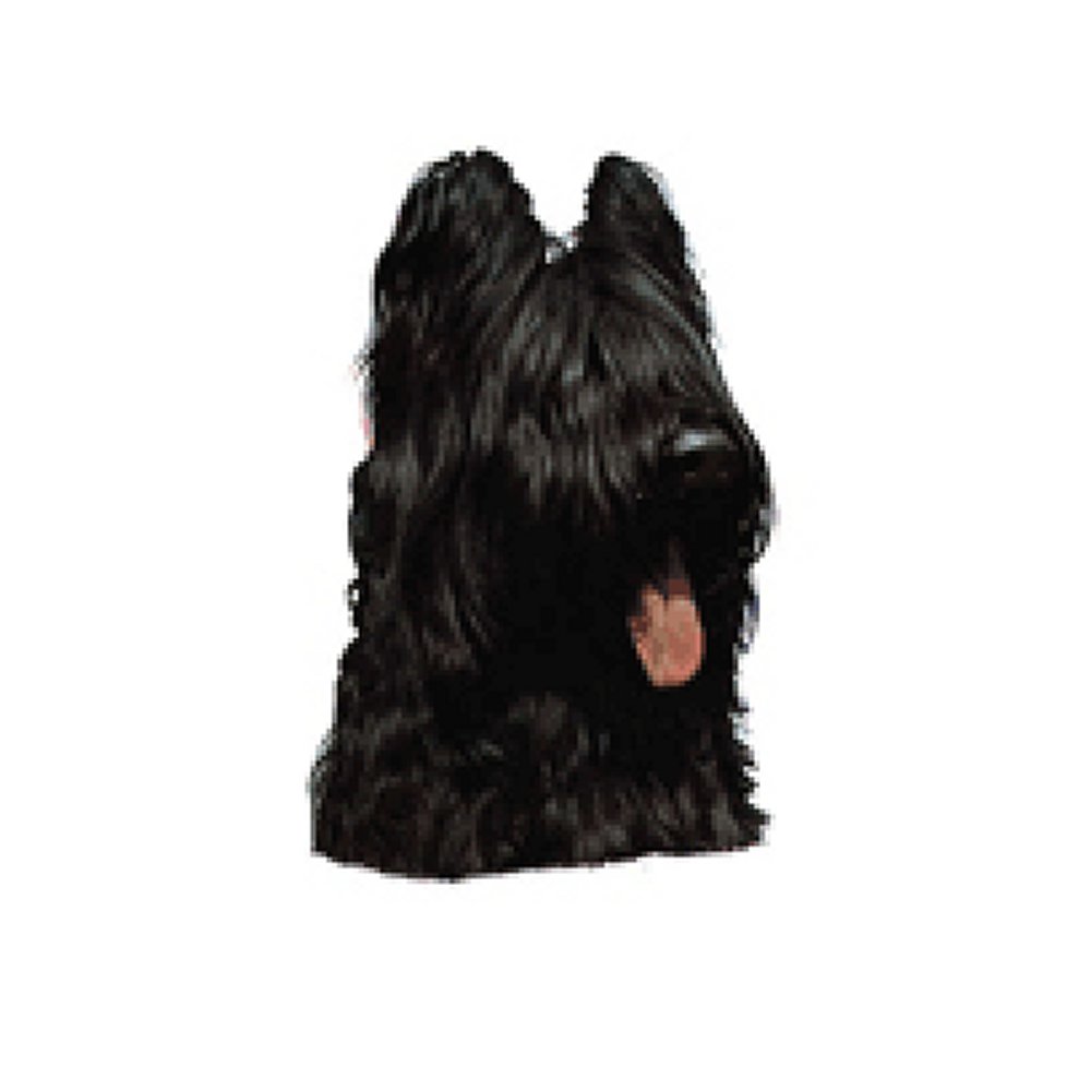 Dekal Briard - 5