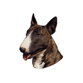 Dekal Bullterrier