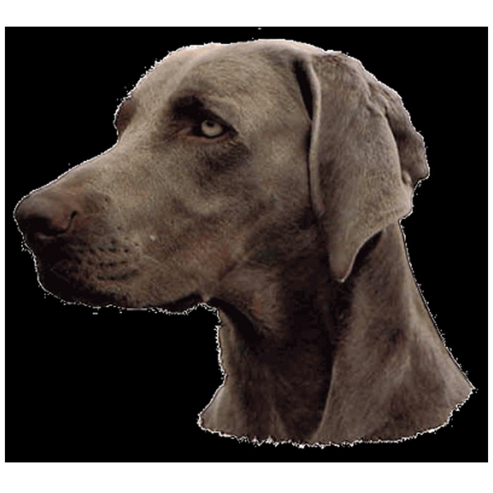 Dekal Weimaraner