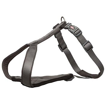 Premium Y-sele Grå 50-60cm/15mm
