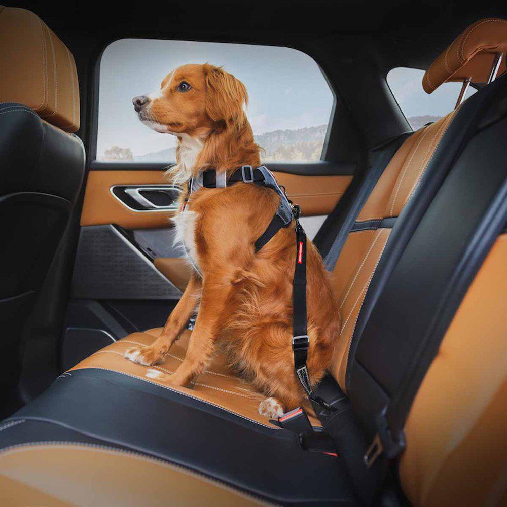 Ezydog ISOFIX Hundbälte - 2