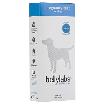 Bellylabs dräktighetstest för hund