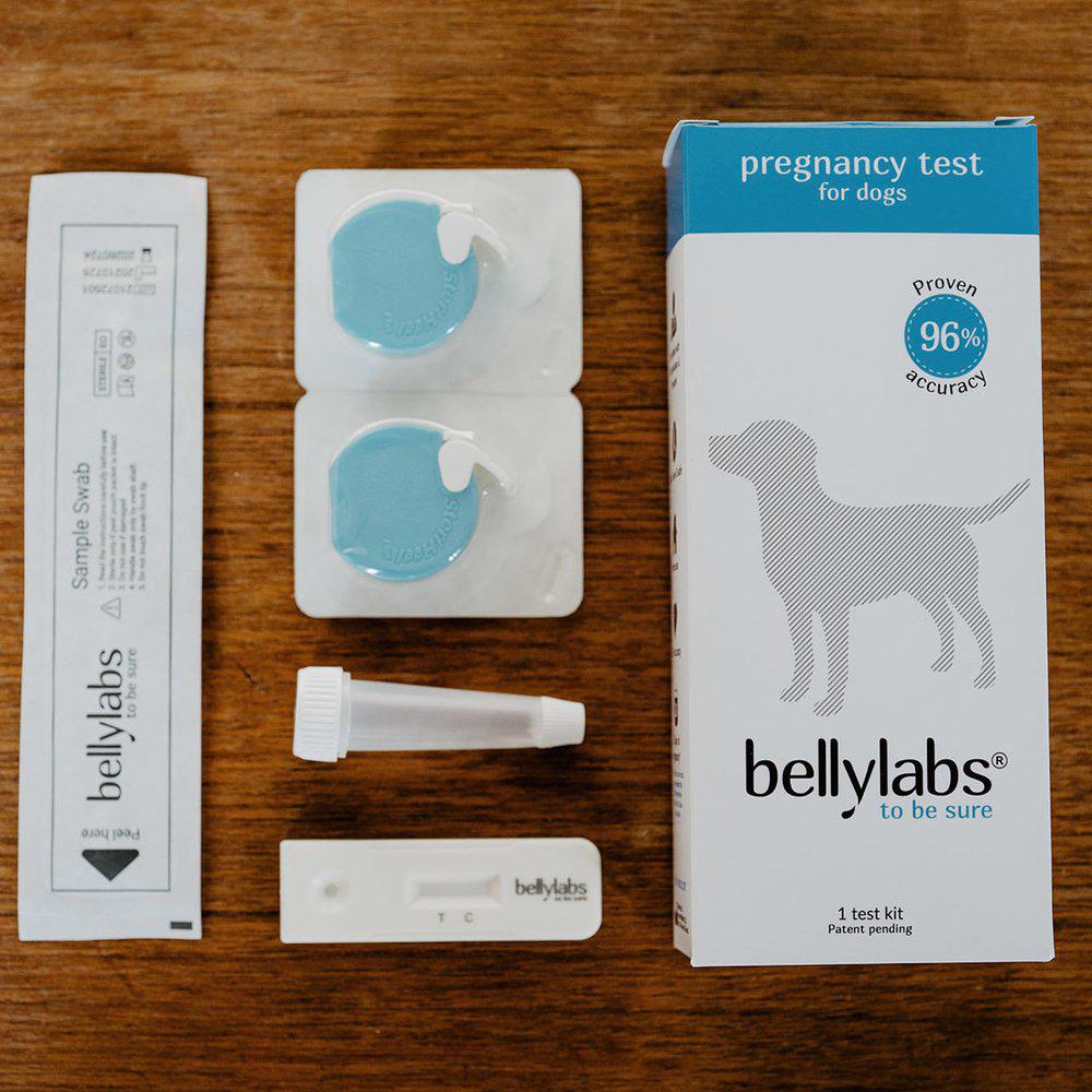 Bellylabs dräktighetstest för hund - 3