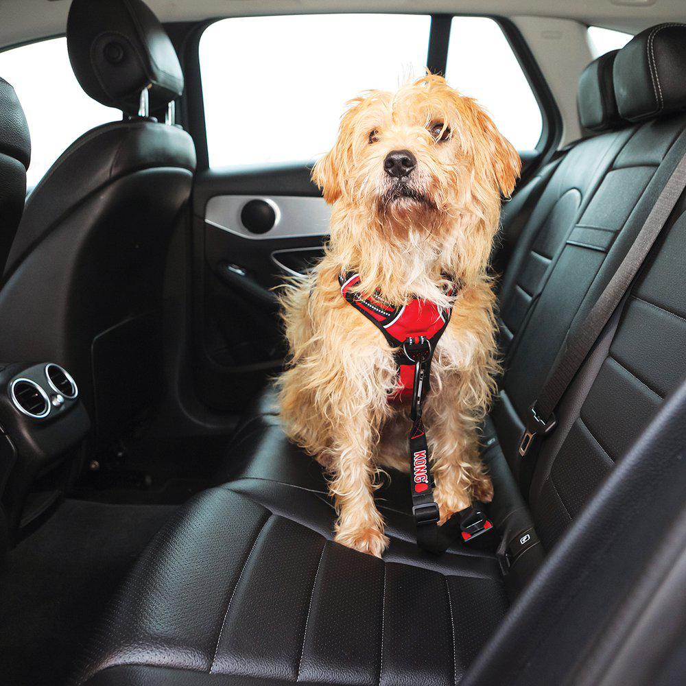 Kong Seat Belt Tether - 6