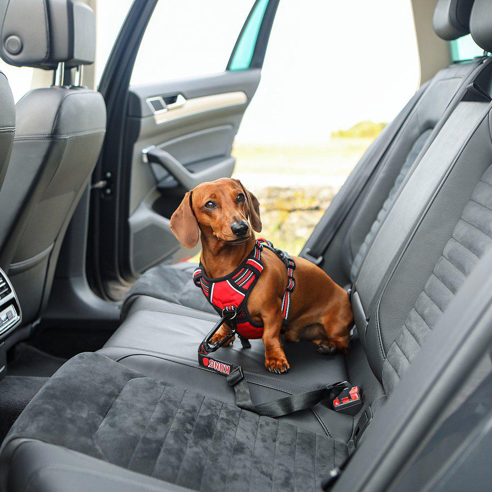 Kong Seat Belt Tether - 4