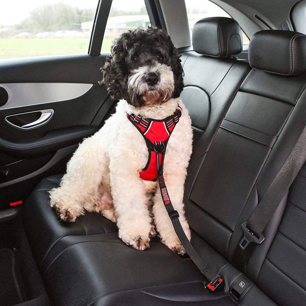 Kong Seat Belt Tether - 5