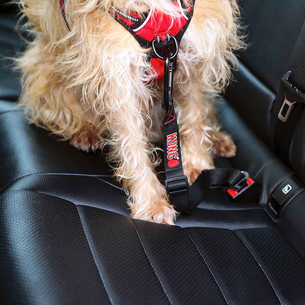 Kong Seat Belt Tether - 7