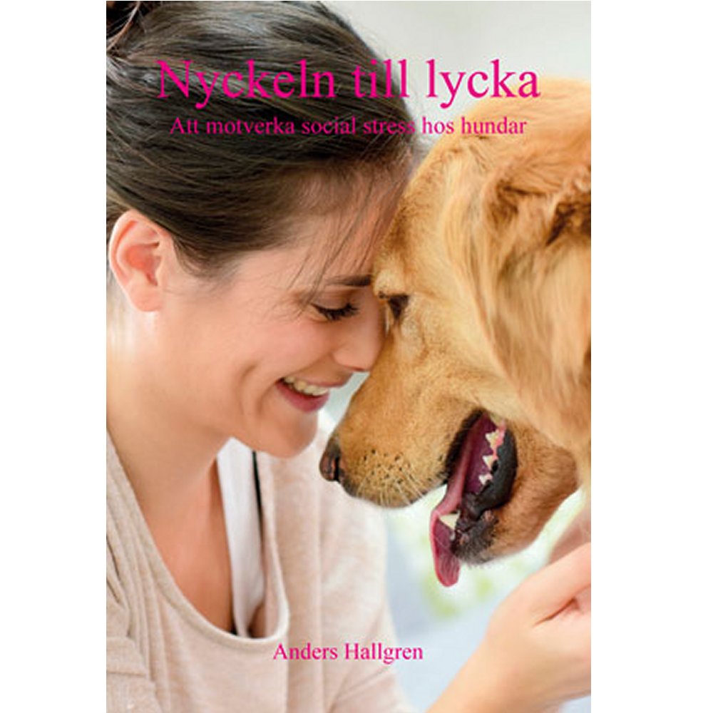 Nyckeln till lycka - att motverka social stress