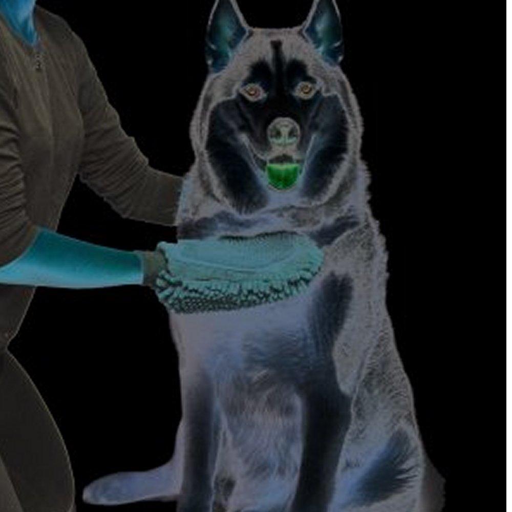 DGS Dirty Dog Grooming Handske Brun - 3
