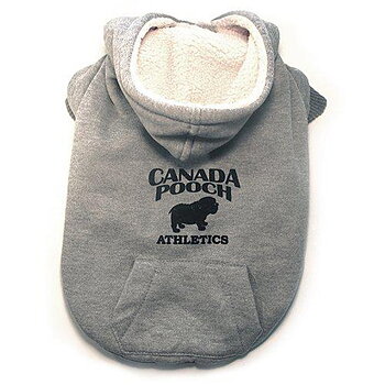 Canada Pooch Cozy Caribo Hoodie Grå