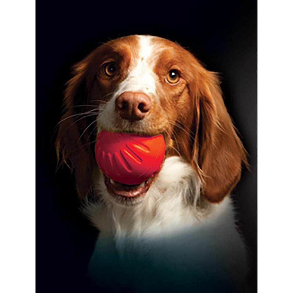 Starmark Foam ball Bacondoft - 2