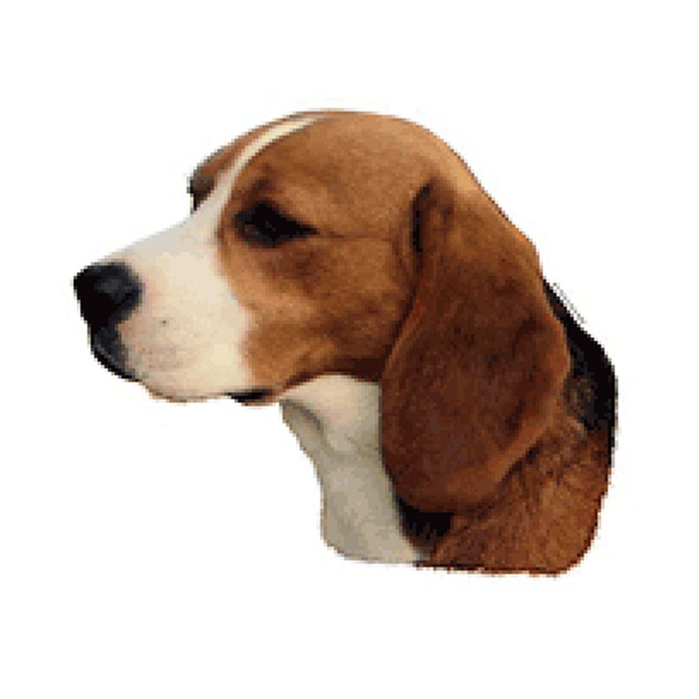 Dekal Beagle