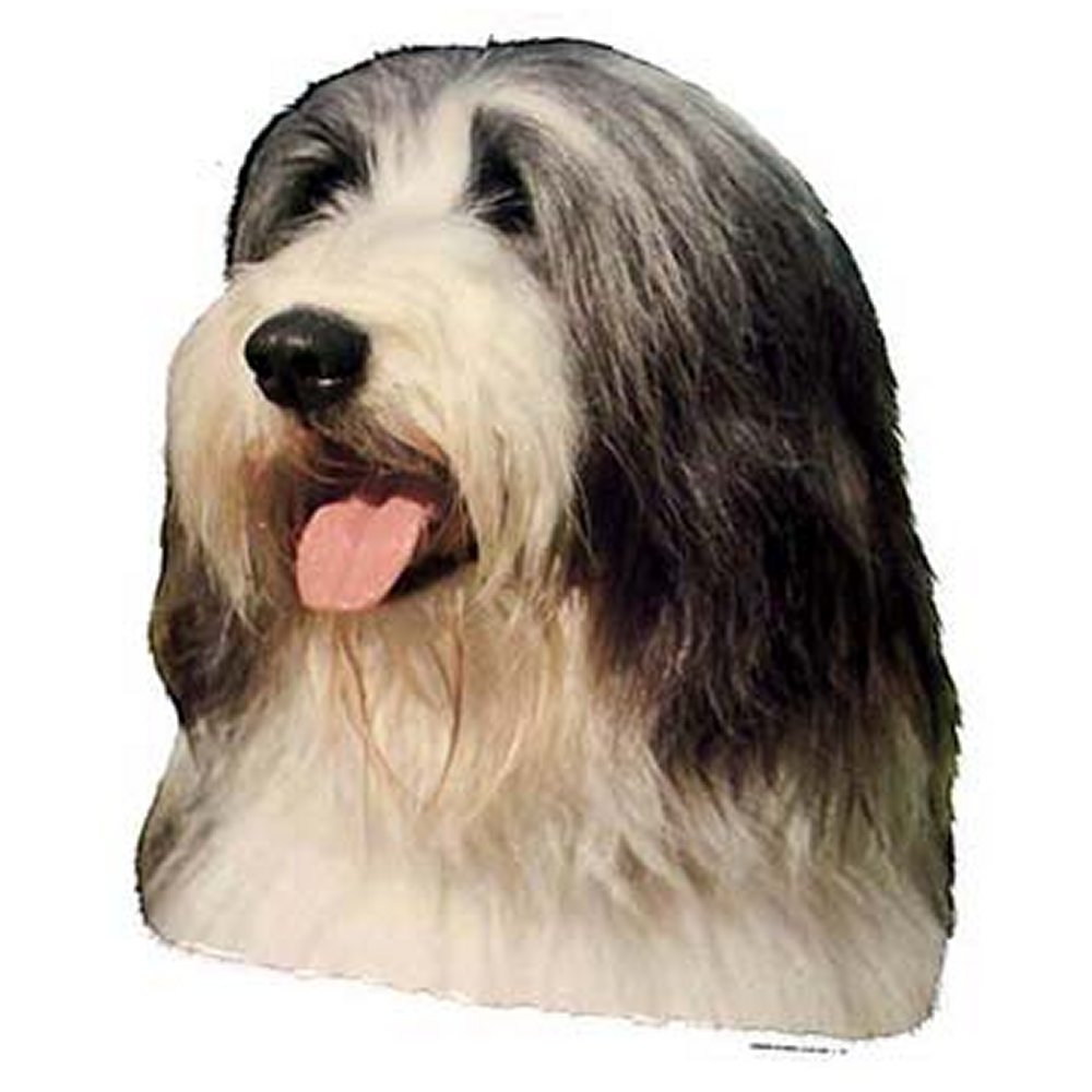 Dekal Bearded Collie