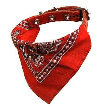 Halsband med snusnäsduk Röd 12mm x 30cm