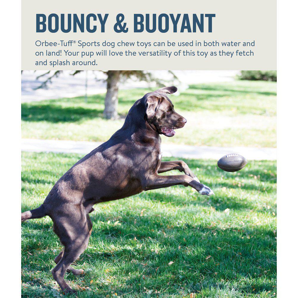Oh Planet Dog Football  - 5