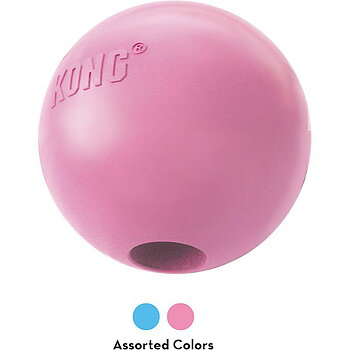 Kong Puppy ball med hål