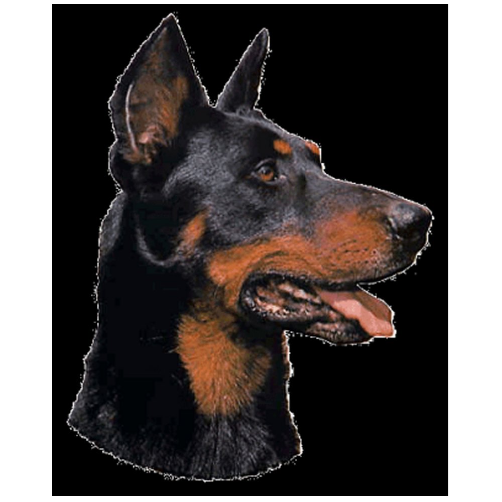 Dekal Beauceron
