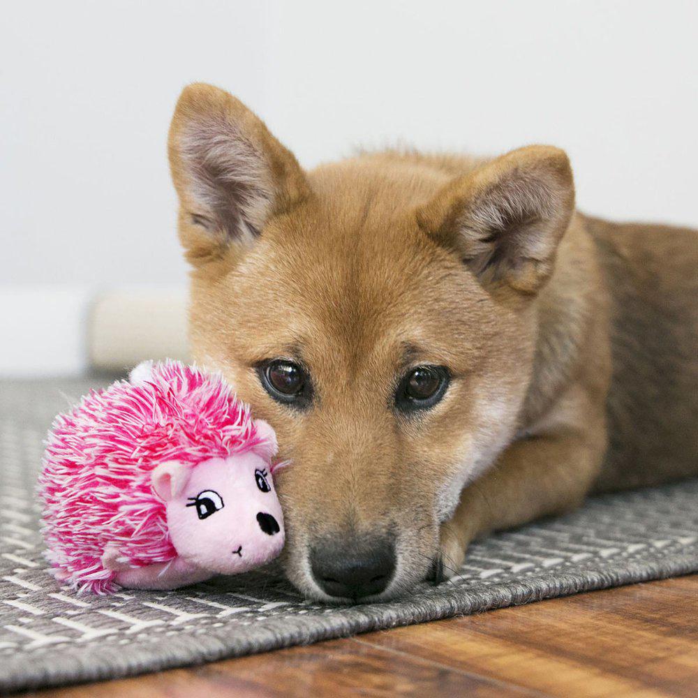 Kong Comfort Hedgehug Puppy L Mix - 3