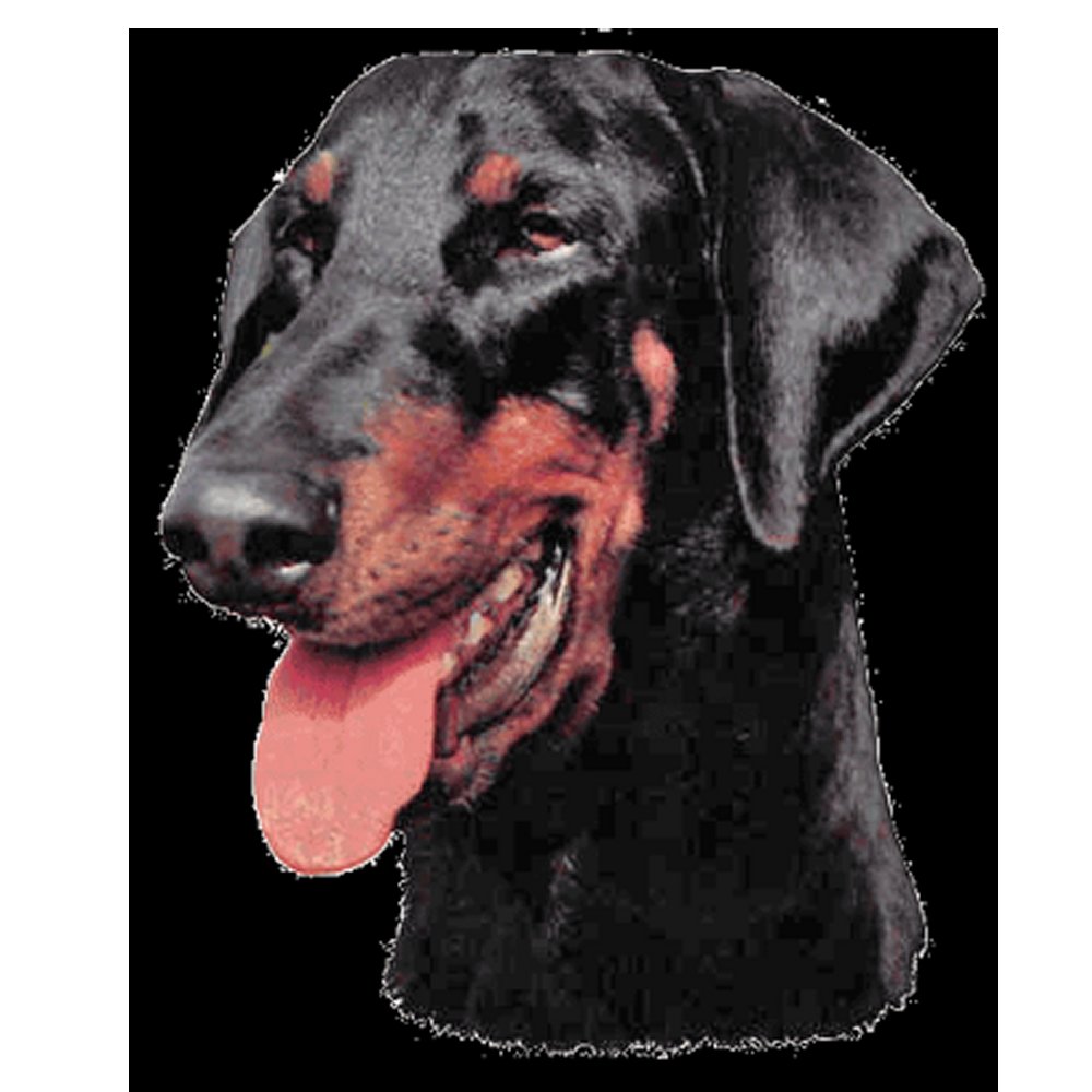 Dekal Doberman Pinscher - 4